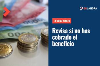 Aporte Familiar Permanente: Consulta con tu RUT si tienes el pago pendiente y cuál es su monto