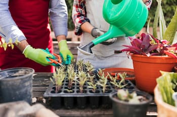 Jardín Fest reunirá a los amantes de las plantas en evento masivo este fin de semana en Santiago