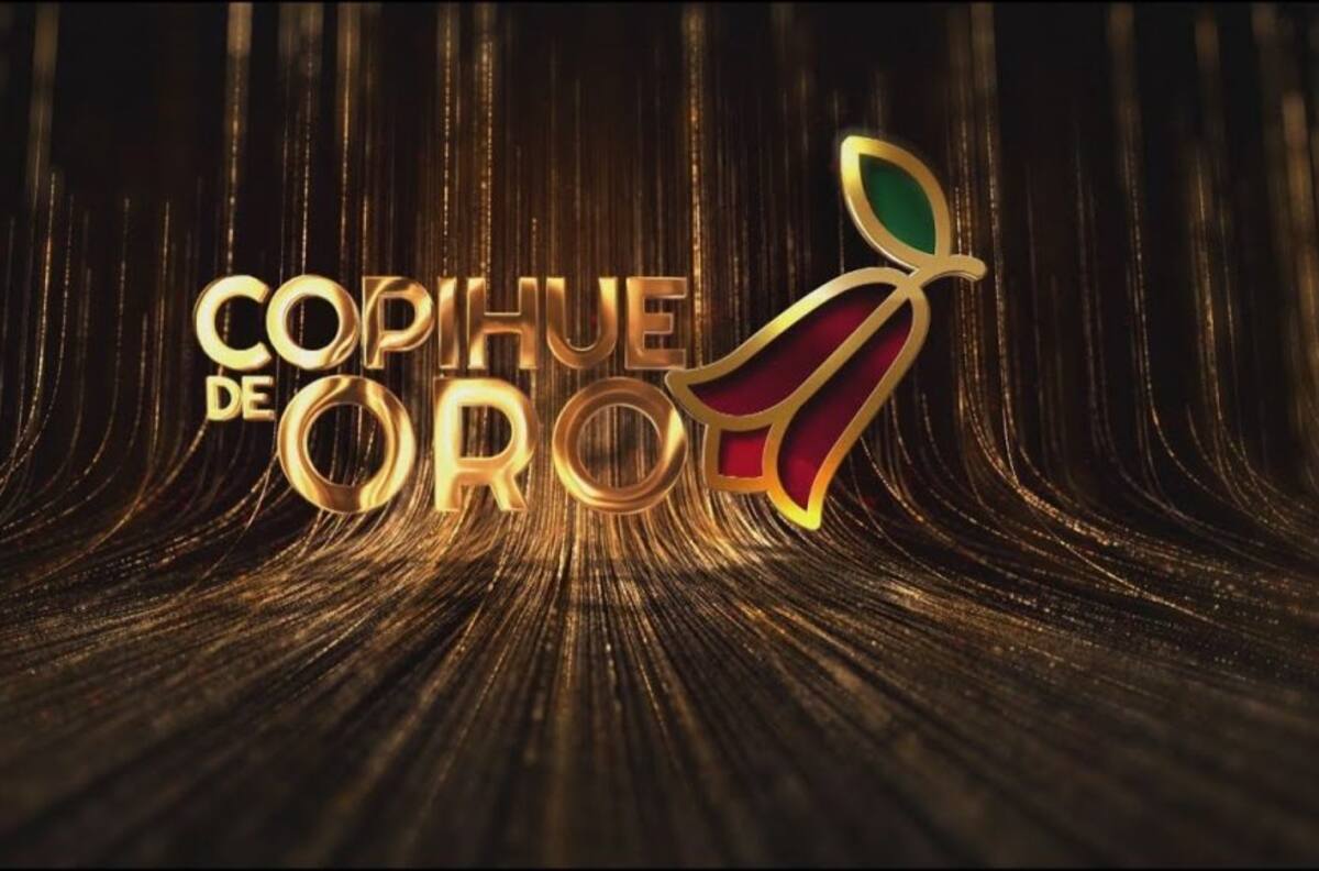 Los ganadores que dejó la premiación del "Copihue de Oro"