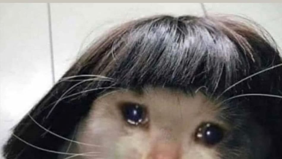 monlaferte_123138840_208061424035875_4207286467978866701_n