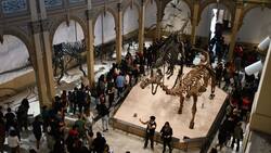 Dinosaurios al Sur del Mundo: Este panorama gratuito es ideal para disfrutar en vacaciones de invierno