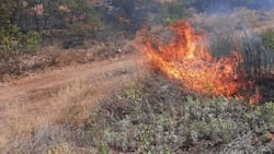 VIDEO | Decretan Alerta Roja en Peñaflor por incendio forestal cercano a viviendas
