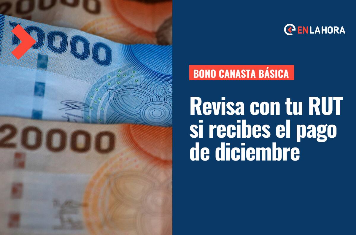 Bono Canasta Básica: Consulta con tu RUT cuándo se te hará el pago y cuánto se paga en diciembre