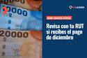 Bono Canasta Básica: Consulta con tu RUT cuándo se te hará el pago y cuánto se paga en diciembre