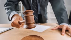 Habrá remate de más de 300 maletas extraviadas en el Aeropuerto: Así se puede participar