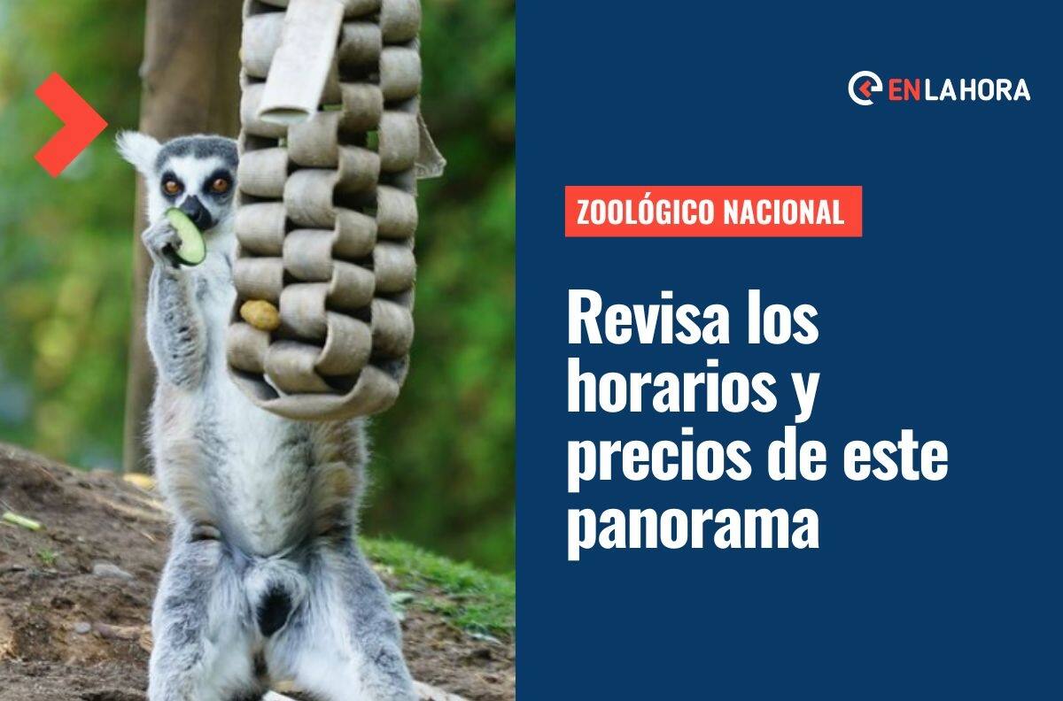 Zoológico Nacional: ¿Cuánto vale la entrada y cuáles son sus horarios?