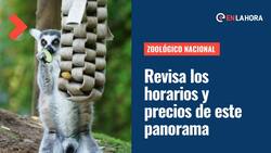 Zoológico Nacional: ¿Cuánto vale la entrada y cuáles son sus horarios?