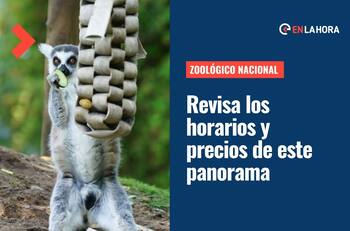 Zoológico Nacional: ¿Cuánto vale la entrada y cuáles son sus horarios?
