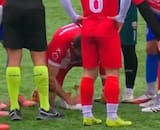 VIDEO | La imagen de la reanimación en plena cancha a una gaviota que da la vuelta al mundo