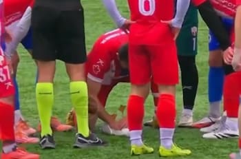 VIDEO | La imagen de la reanimación en plena cancha a una gaviota que da la vuelta al mundo