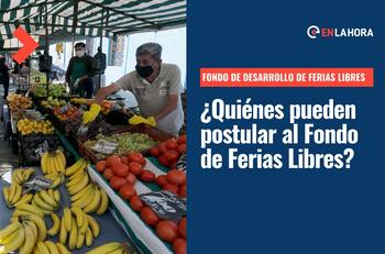 Fondo de Ferias Libres: ¿Cómo postular, cuáles son los requisitos y cuánto dinero entrega Sercotec?