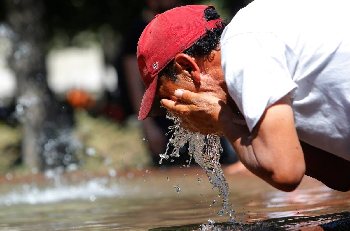 Fin de semana con casi 40 grados: Revisa estos consejos para poder combatir la ola de calor