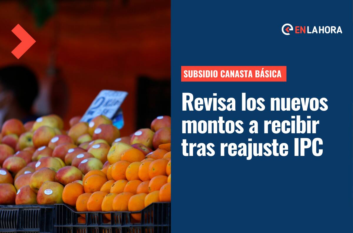 Aumentan montos del Bono Canasta Familiar y del Subsidio Único Familiar: ¿Cuánto recibiré por ambos?