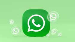 WhatsApp activará esta nueva función: facilitará la comunicación entre los usuarios