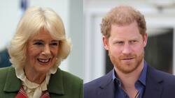 "Sí que me afectó": La vez en que Camilla Parker convirtió la habitación del príncipe Harry en su clóset
