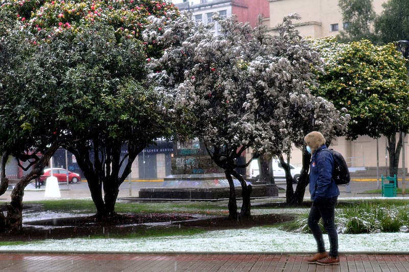 Conoce si tienes pendiente su cobro. Créditos: ATON