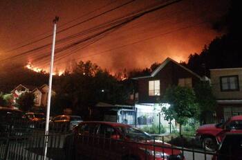 VIDEO | Nuevo foco de incendios forestales: Declaran Alerta Roja para las comunas de Chiguayante y Hualqui