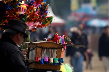 7 Juegos Típicos chilenos para divertirse en Fiestas Patrias