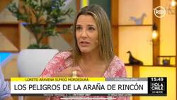 Nueva crisis en La Red: La razón por la que repitieron capítulo antiguo de "Hola Chile"