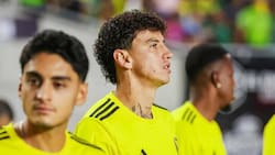 DT del América confirma lo inevitable: “Es el momento para que Igor Lichnovsky busque otro camino”