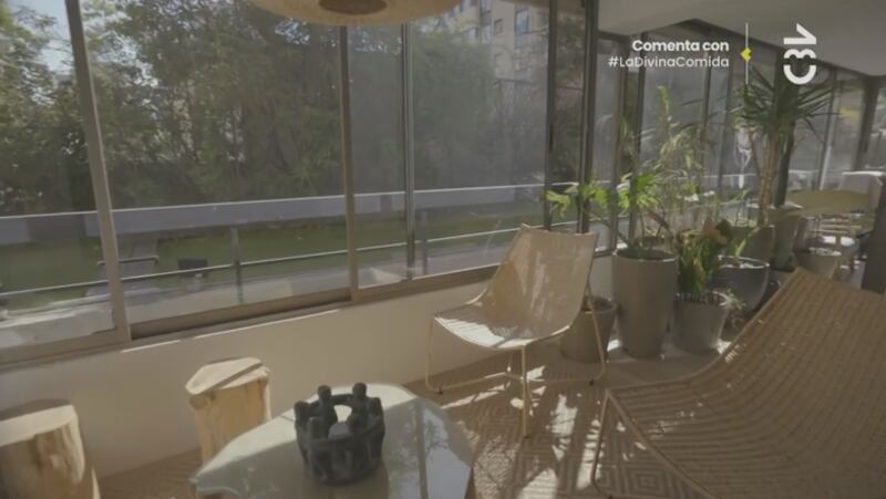 El rincón lleno de naturaleza del departamento de Vanesa Borghi