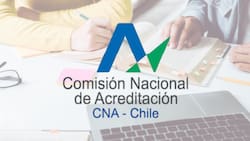 Comisión Nacional de Acreditación busca trabajadores: Sueldos empiezan en $1.490.000