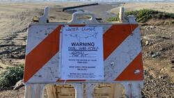 Cierran playa en Estados Unidos por mortal ataque de tiburón blanco contra surfista