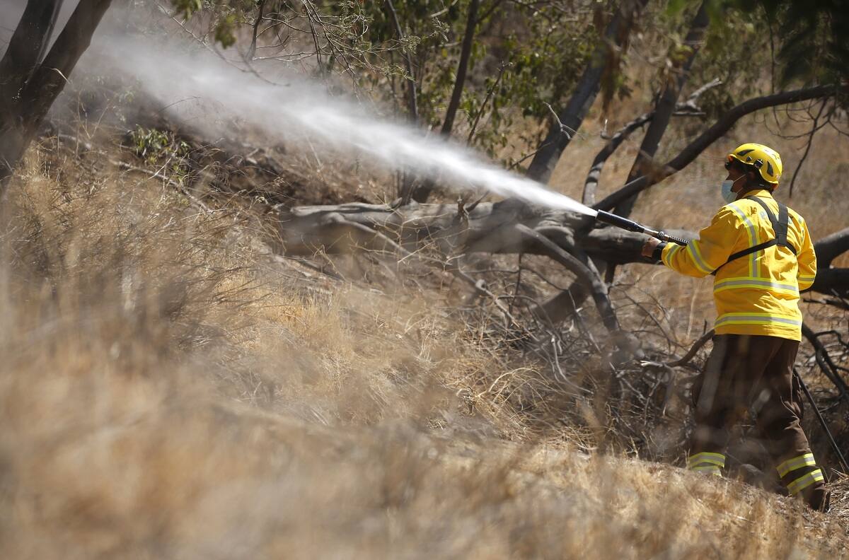 Adulto mayor murió en incendio forestal provocado por parrilla cuando cocinaba en su casa