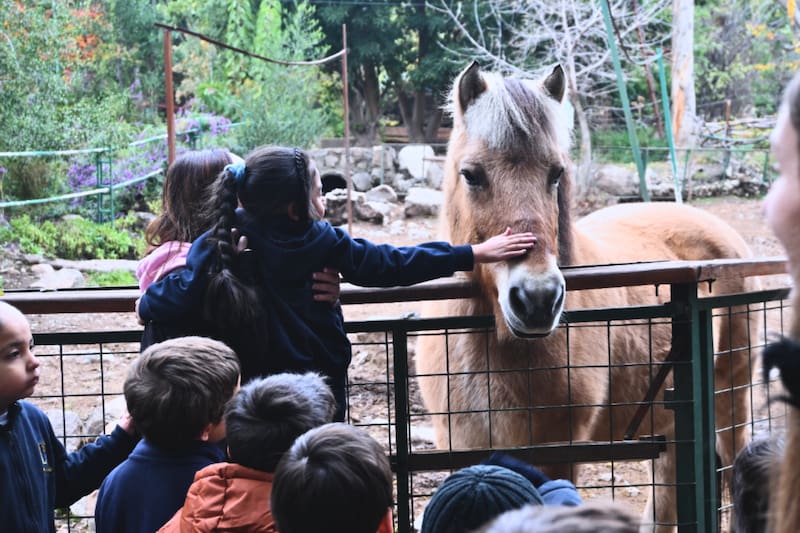 Tu próximo panorama a visitar dentro de Santiago. Créditos: Granjaventura.