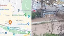 VIDEO | Logran rescatar a perritos atrapados en Río Mapocho