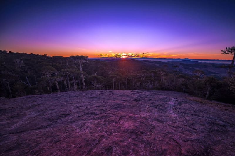 Está dentro del Parque Nacional Nahuelbuta.