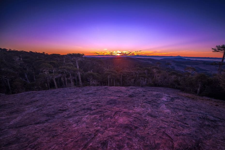 Está dentro del Parque Nacional Nahuelbuta.