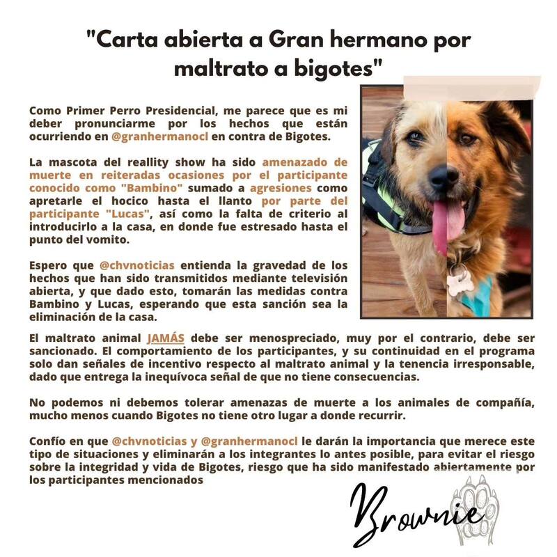 Brownie pide la expulsión de Lucas y "Bambino" de "Gran Hermano" Chile