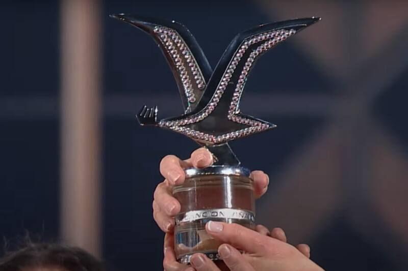 El galardón podría ser entregado esta noche en la Quinta Vergara.