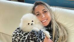 "Está agresiva a cag...": Rebeca Naranjo se enojó con su perrita, Coca, por intentar morderla violentamente