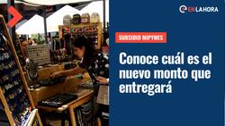 Subsidio Mipymes: ¿Cuál es el monto que entregará en agosto y cómo puedes postular?