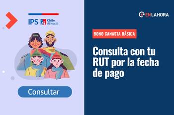 Bono Canasta Básica: ¿Cuál es el monto que se entrega en octubre y cómo consultar con el RUT mi fecha de pago?