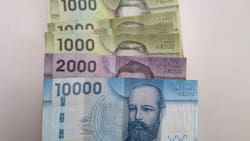 No solo los beneficiarios de la PGU: Estas son las otras personas que recibirán el aguinaldo de Navidad del IPS