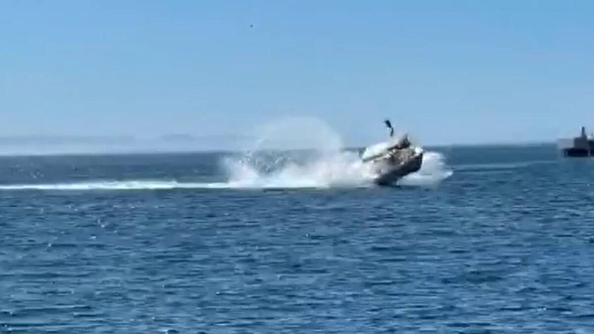 VIDEO | Impactante choque de ballena con una lancha terminó con seis personas heridas