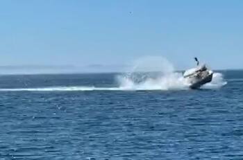 VIDEO | Impactante choque de ballena con una lancha terminó con seis personas heridas