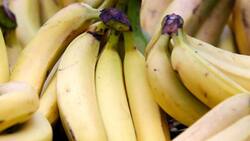 Plátanos negros: ¿Por qué se producen las manchas cafés y cómo evitarlas?