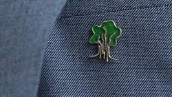 Euforia por el ciprés de campaña de Gabriel Boric: Piden a ciudadanos no subirse a él