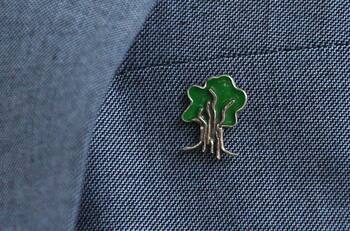 Euforia por el ciprés de campaña de Gabriel Boric: Piden a ciudadanos no subirse a él