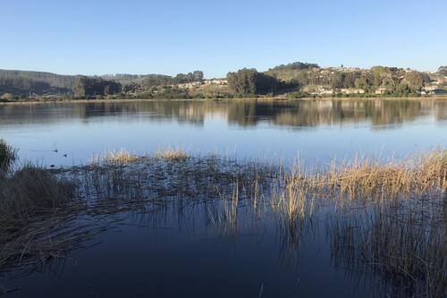 Descubre este santuario de la naturaleza oculto cerca de la Región Metropolitana. Créditos: Facebook.