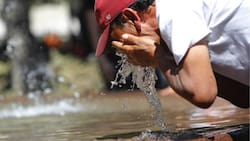 Incluye a Santiago: DMC emite aviso por altas temperaturas en tres regiones de la zona norte y centro de Chile