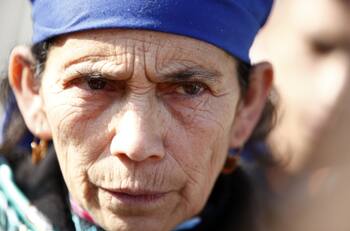 Machi Linconao solicitó extensión de plazo para la inscripción de candidaturas bajo escaños reservados