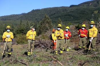 Bomberos por la búsqueda de Tomás Bravo: "Hay frustración por no entregar buenas noticias a la familia"