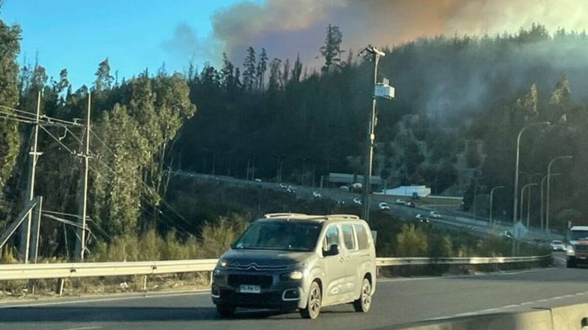 Gigantesco incendio forestal afecta a Valparaíso: Onemi declaró Alerta Roja y suspendieron tránsito en Ruta 68
