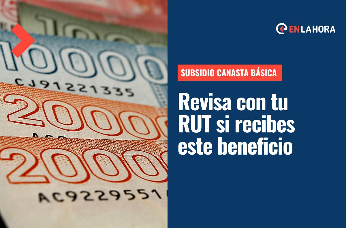 Subsidio Canasta Básica: Conoce si recibes este pago ingresando solo tu RUT