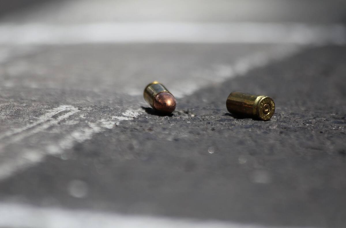 Dueño de casa frustró con disparos robo a su domicilio y mató al delincuente